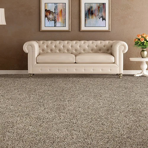 New Look Floor Coverings Inc. providing stain-resistant pet proof carpet in New Lenox, IL