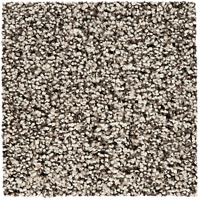 SmartStrand Carpet color Whisper with ColorMax